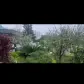 تصویر 3 خرید ویلا دوبلکس جنگلی استخردار در سیسنگان
