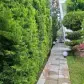 تصویر 11 خرید ویلا دوبلکس شهرکی در محمودآباد خط آهی امکان تهاتر و بافت شهری