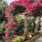 تصویر 3 خرید ویلا در محمودآباد